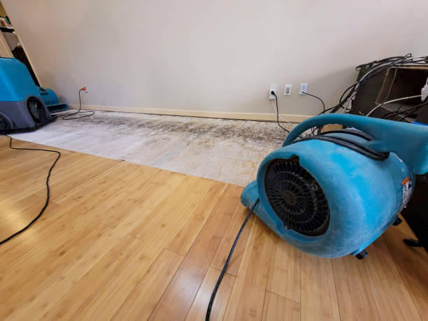Professional Water Damage Repair technician working in Stow, OH